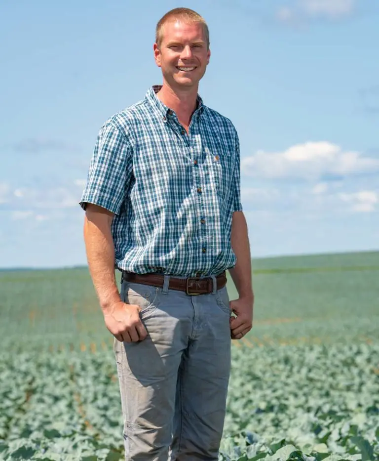 A man about a field of broccoli.