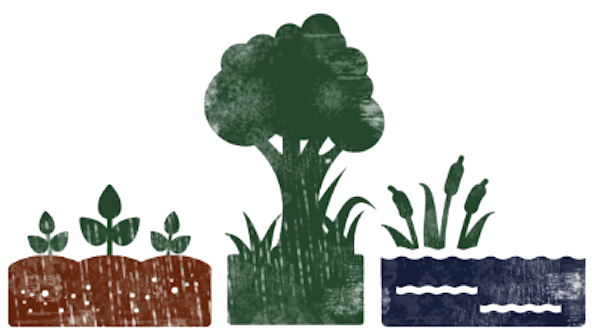 A sustainable farming illustration featuring a tree, a plant, and a pond.