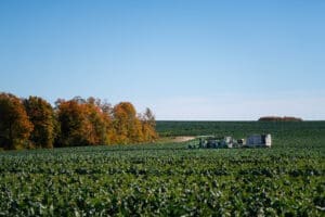 Maine Growing Season: The Cycle Continues 