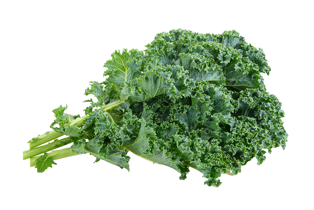 A bunch of fresh green kale leaves with ruffled edges and visible stems, ideal for adding a natural touch to your Elementor landing page, isolated on a transparent background.